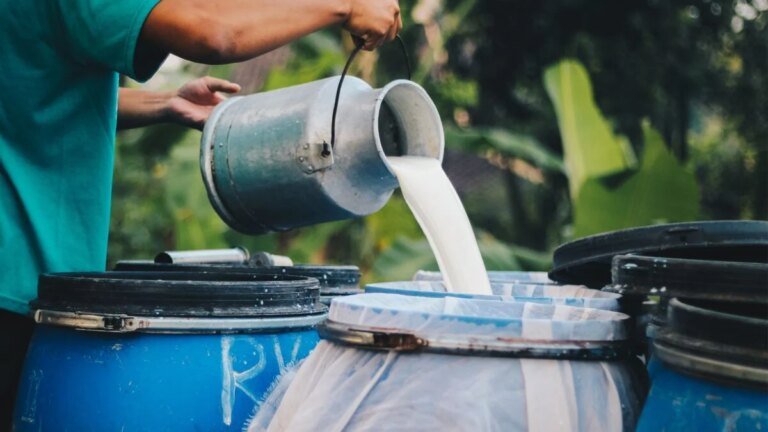 New Mexico Newborn Dies After Mother Drank Raw Milk, Prompting Fresh Warnings